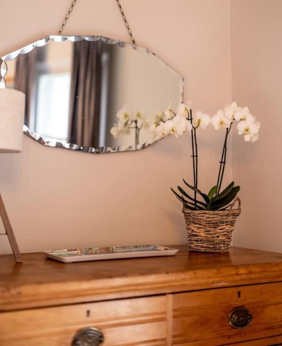 Beautiful & Spacious Retreat In Winchester Eksteriør bilde